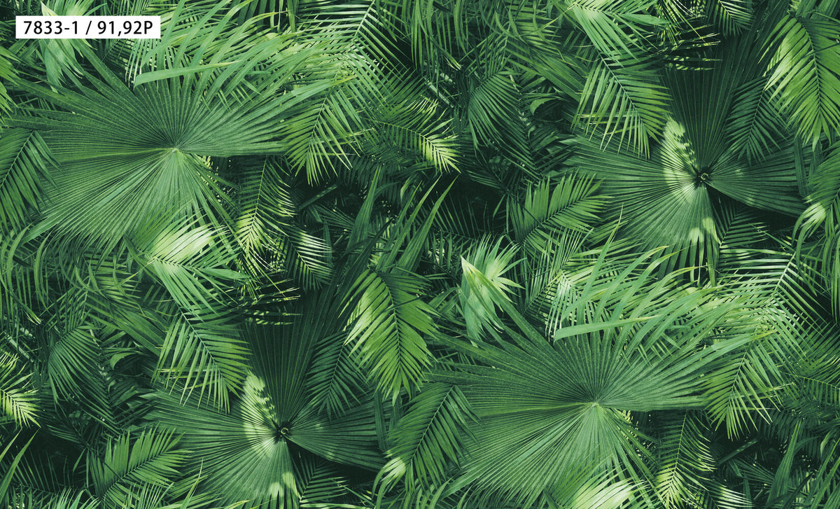 Green Tropical Palm Leaf Wallpaper 7833