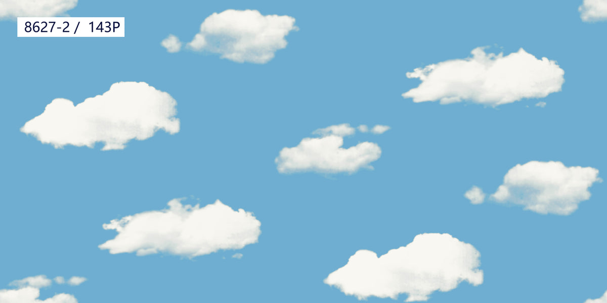 Sky White Cloud Wallpaper 8627