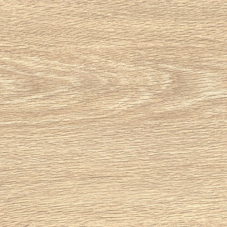 AMERICA OAK DT0022