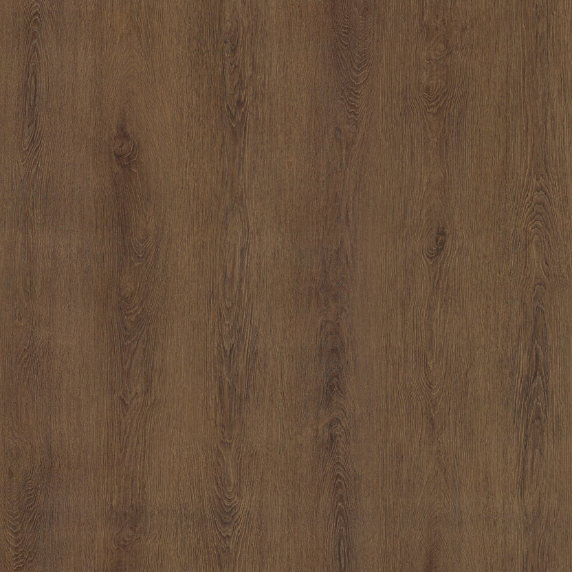 BODAQ LW06