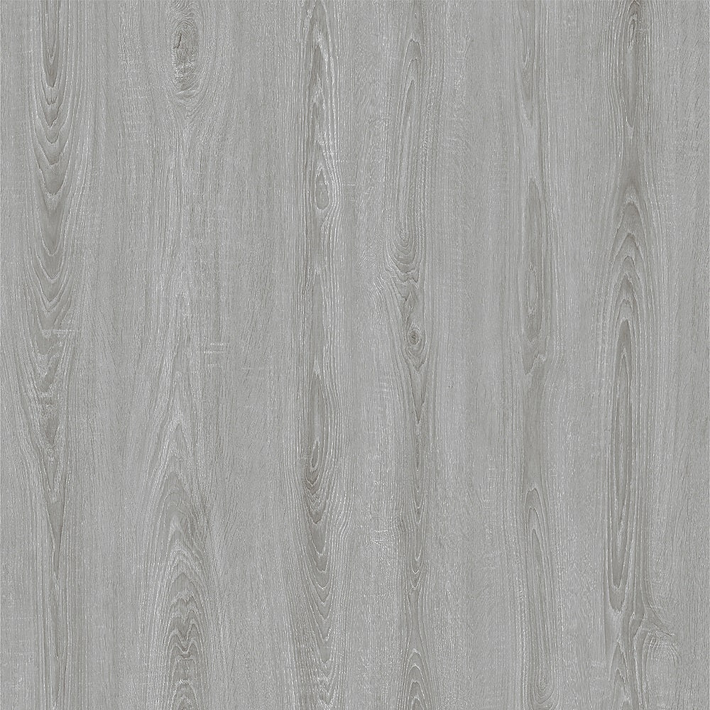 CHAMPAGNE OAK GC0246