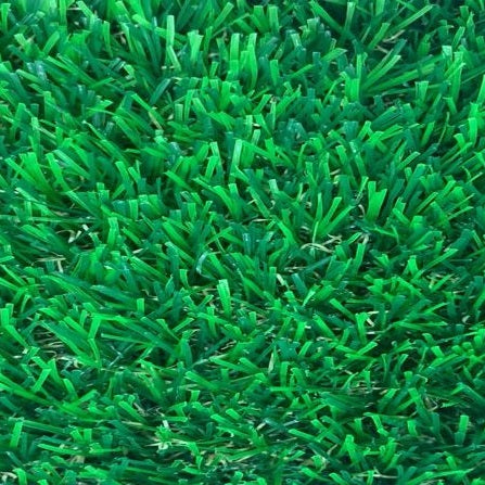 NATURAL GRASS