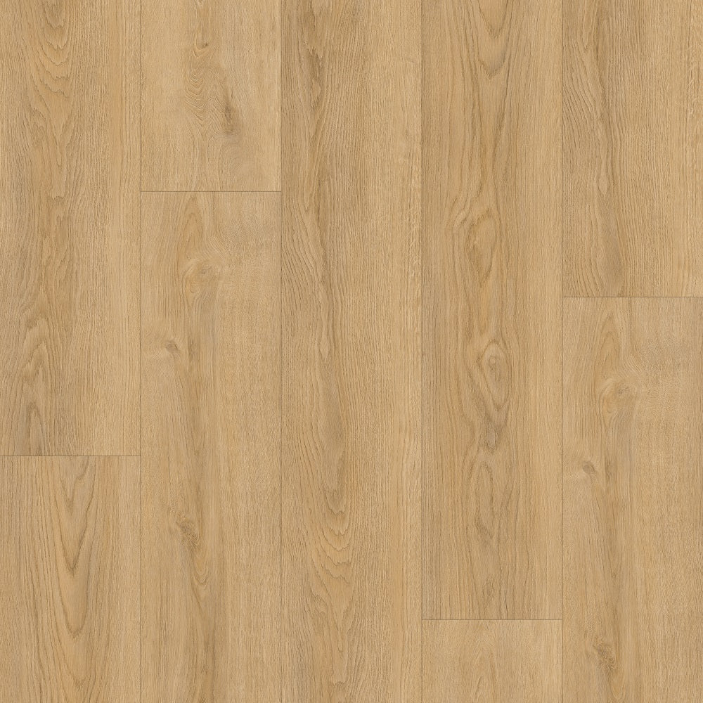 ROYAL GC0213