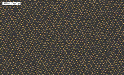 Geometric Line Pattern Wallpaper 5721