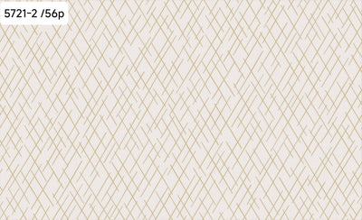 Geometric Line Pattern Wallpaper 5721
