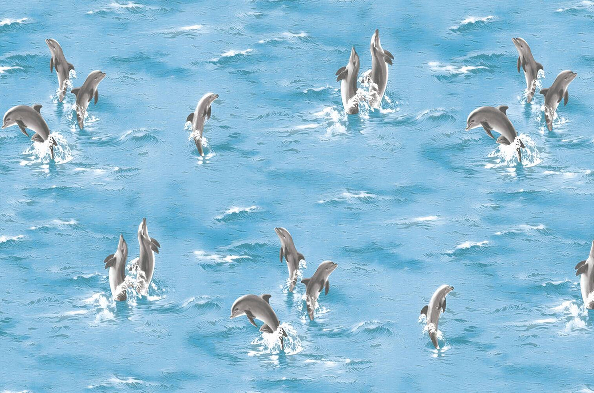 Ocean Blue Dolphin Wallpaper 6836