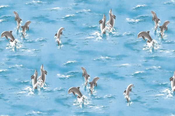 Ocean Blue Dolphin Wallpaper 6836