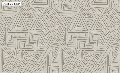 Abstract Geometric Line Wallpaper 7834