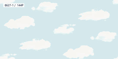 Sky White Cloud Wallpaper 8627