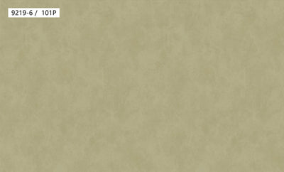 Light Lime Green Plaster Effect Wallpaper 9219