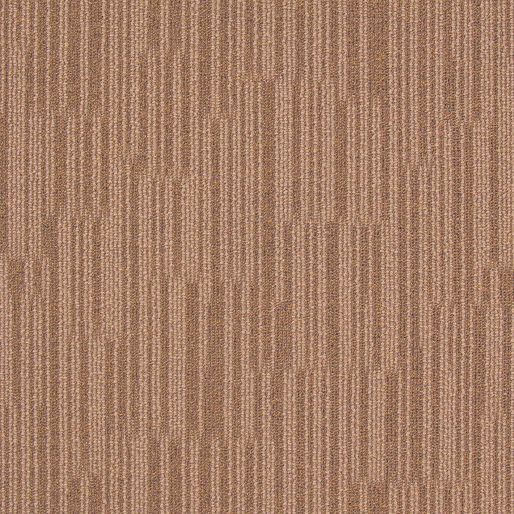 Brown Bear carpet swatch CG31