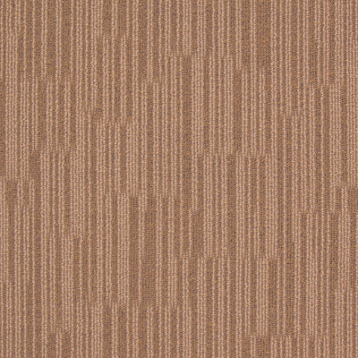 Brown Bear carpet swatch CG31