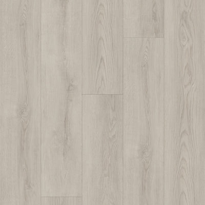 CHAMPAGNE OAK GC0246