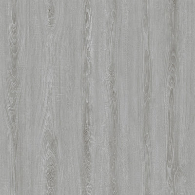 CHAMPAGNE OAK GC0246