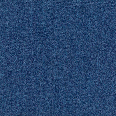 OXFORD II