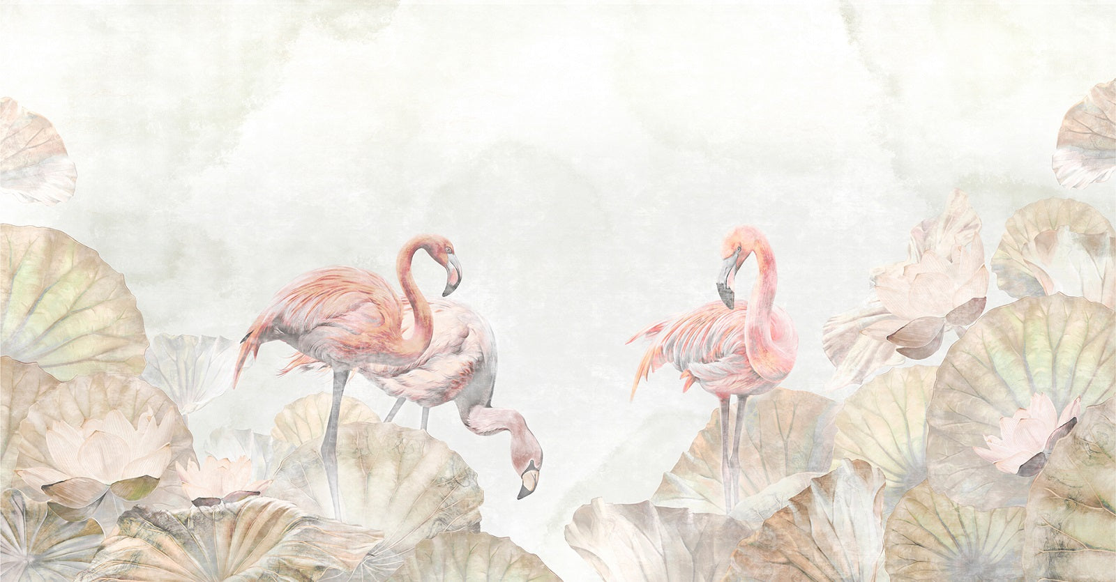 DAZY FLAMINGO