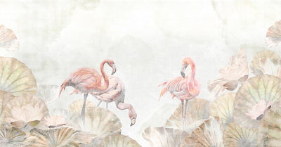 DAZY FLAMINGO