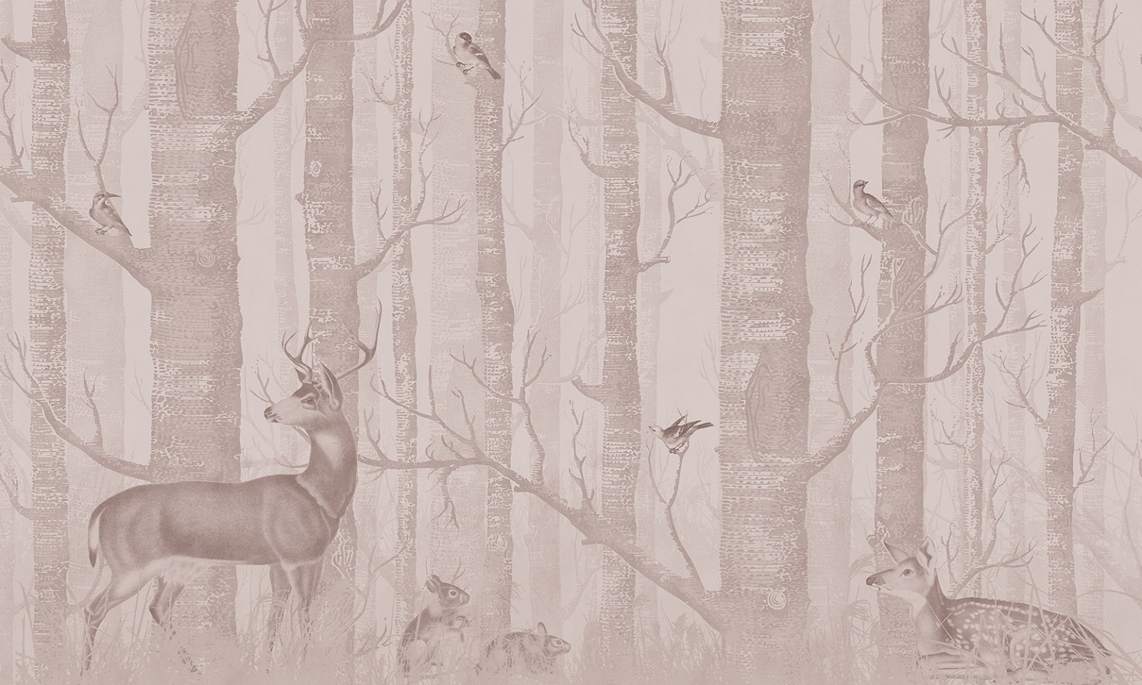 DEER DEER