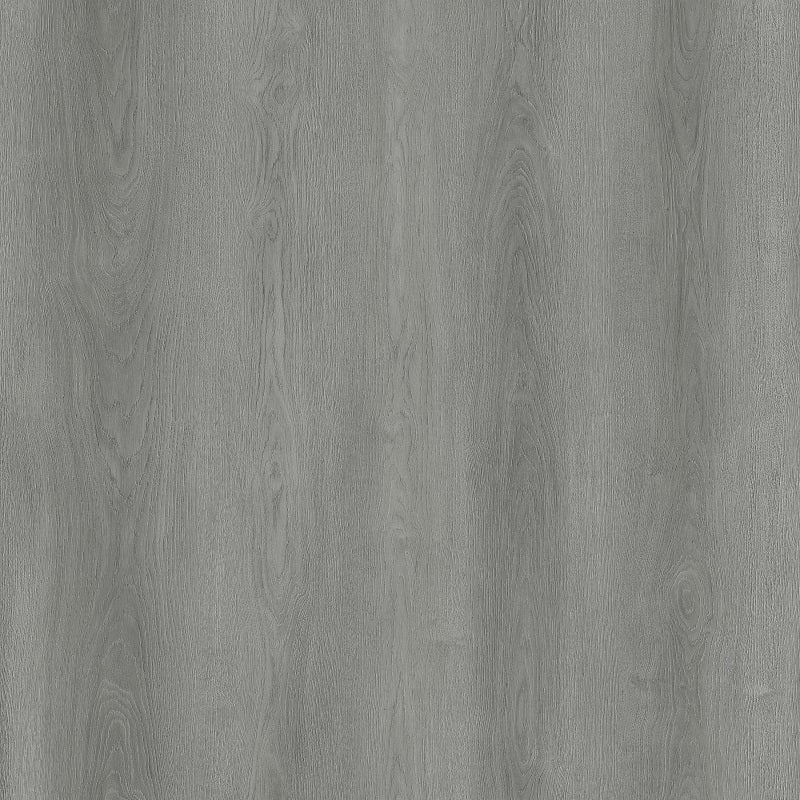 MISTY GREY CC322