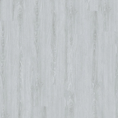 SILVER SHINE C4232