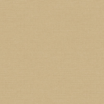 A84923