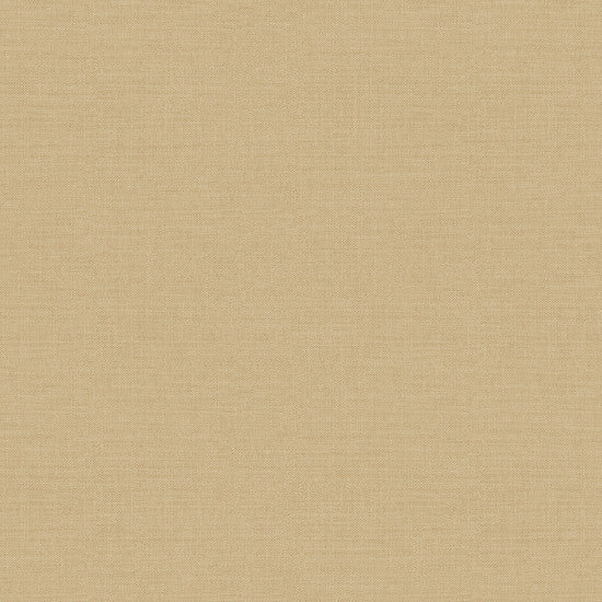 A84923